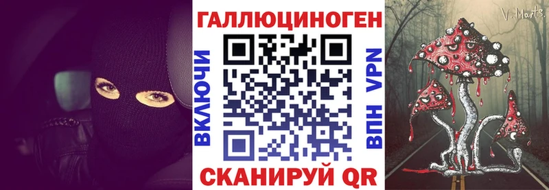 Псилоцибиновые грибы мицелий Дагестанские Огни