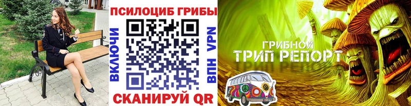 Псилоцибиновые грибы Magic Shrooms  hydra зеркало  Дагестанские Огни 