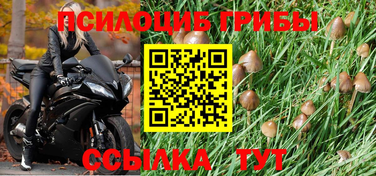 Галлюциногенные грибы мухоморы  Галлюциногенные грибы Psilocybine cubensis  Вход с VPN  Дагестанские Огни 