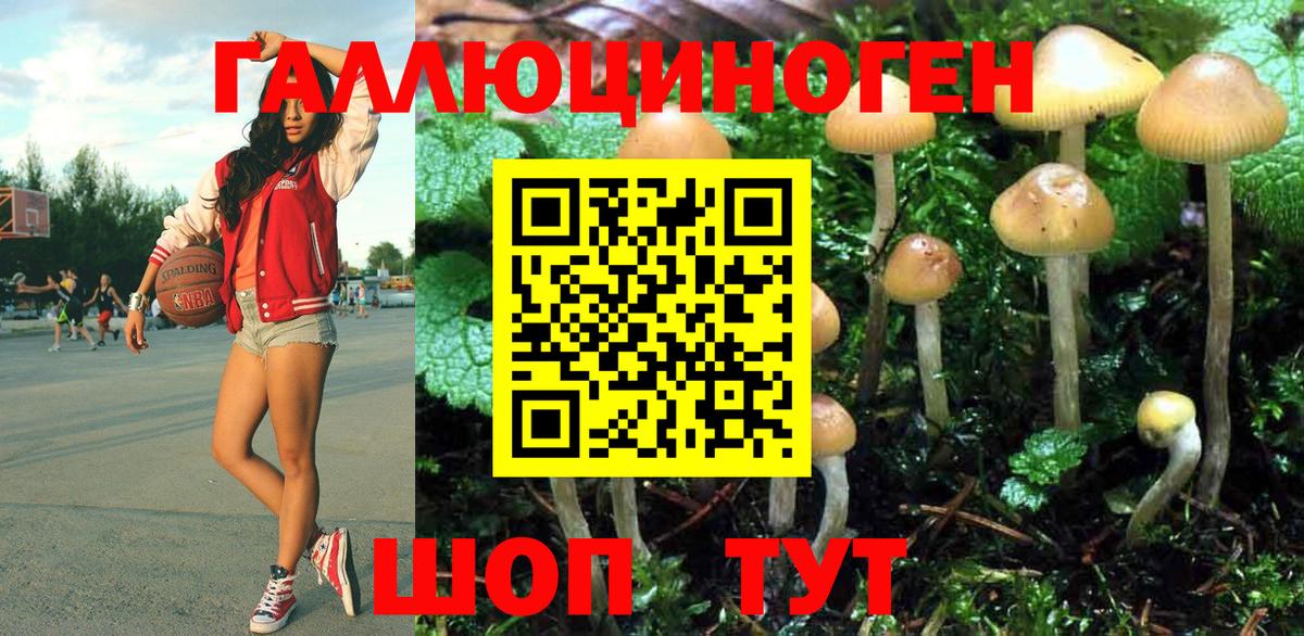 Псилоцибиновые грибы Magic Shrooms Дагестанские Огни