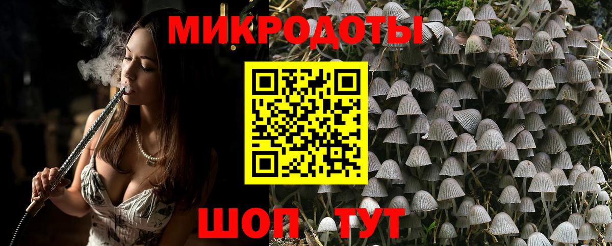 Псилоцибиновые грибы прущие грибы  Псилоцибиновые грибы мухоморы  Дагестанские Огни 