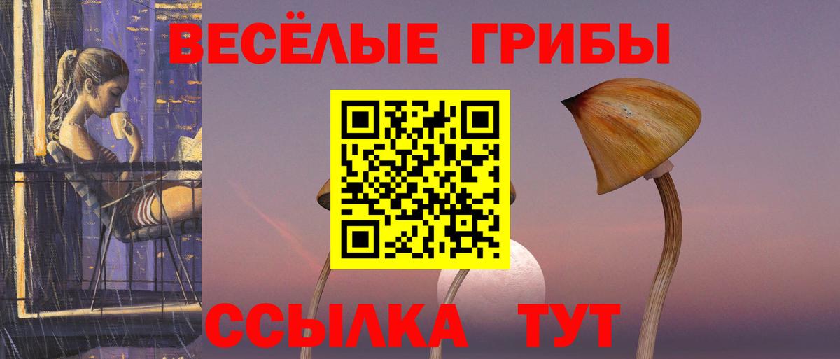 Псилоцибиновые грибы мицелий Дагестанские Огни